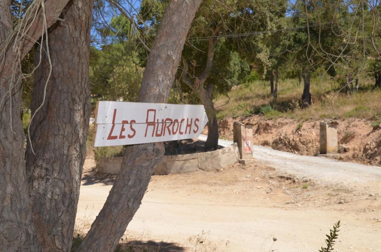 Les Aurochs Bed and Breakfast Grimaud Eksteriør billede