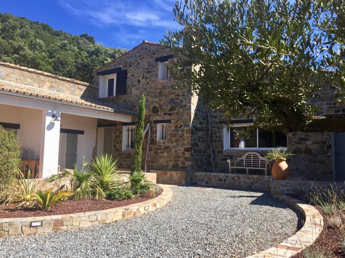 Les Aurochs Bed and Breakfast Grimaud Eksteriør billede